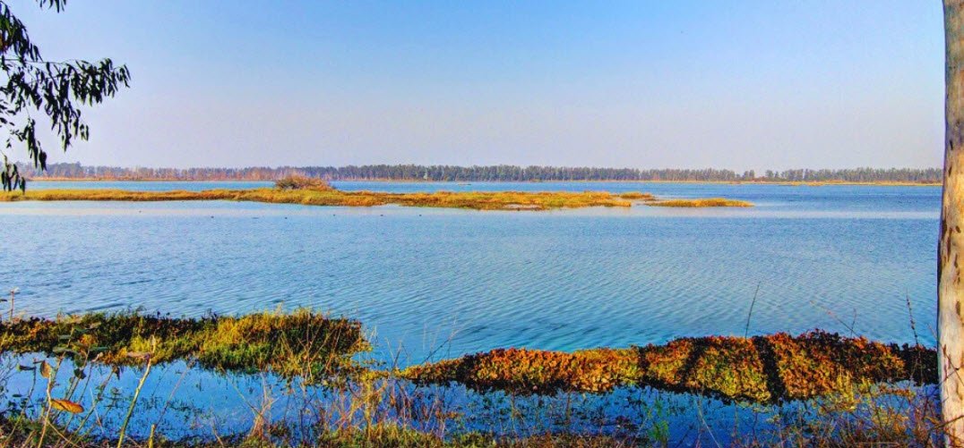 Bhindawas Lake